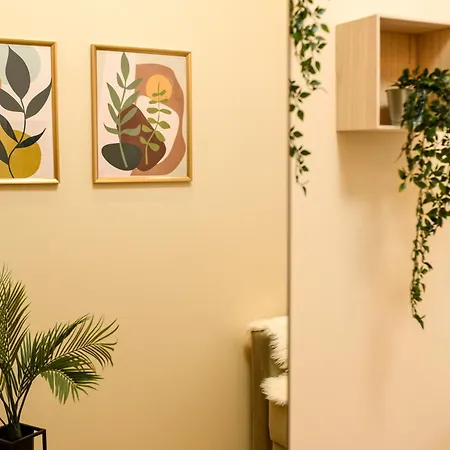 Apartment Mohost Centrum - Urban Retreat In Center Brasov